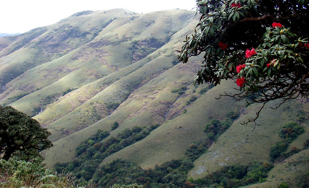 Ooty is the Queen of Hills Stations