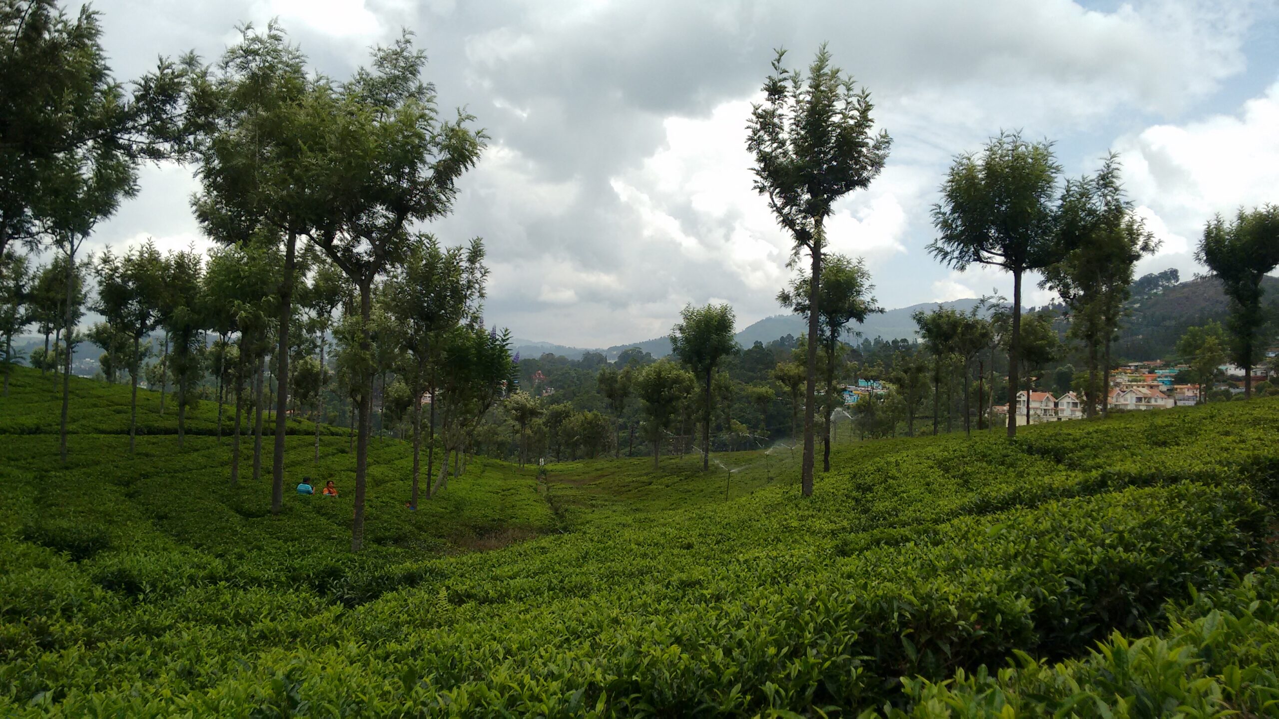 Ooty is the Queen of Hills Stations