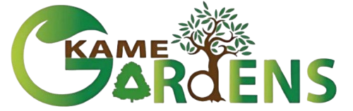 π 6 Full-Time Construction Jobs in Dubai at KAME Gardens β Apply in 2025