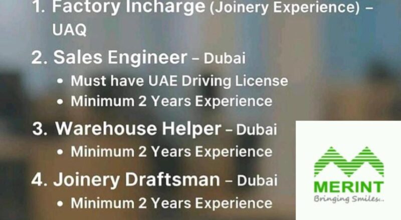 Efficient Foreign Job Placement 2025: Secure Top Careers with Merint