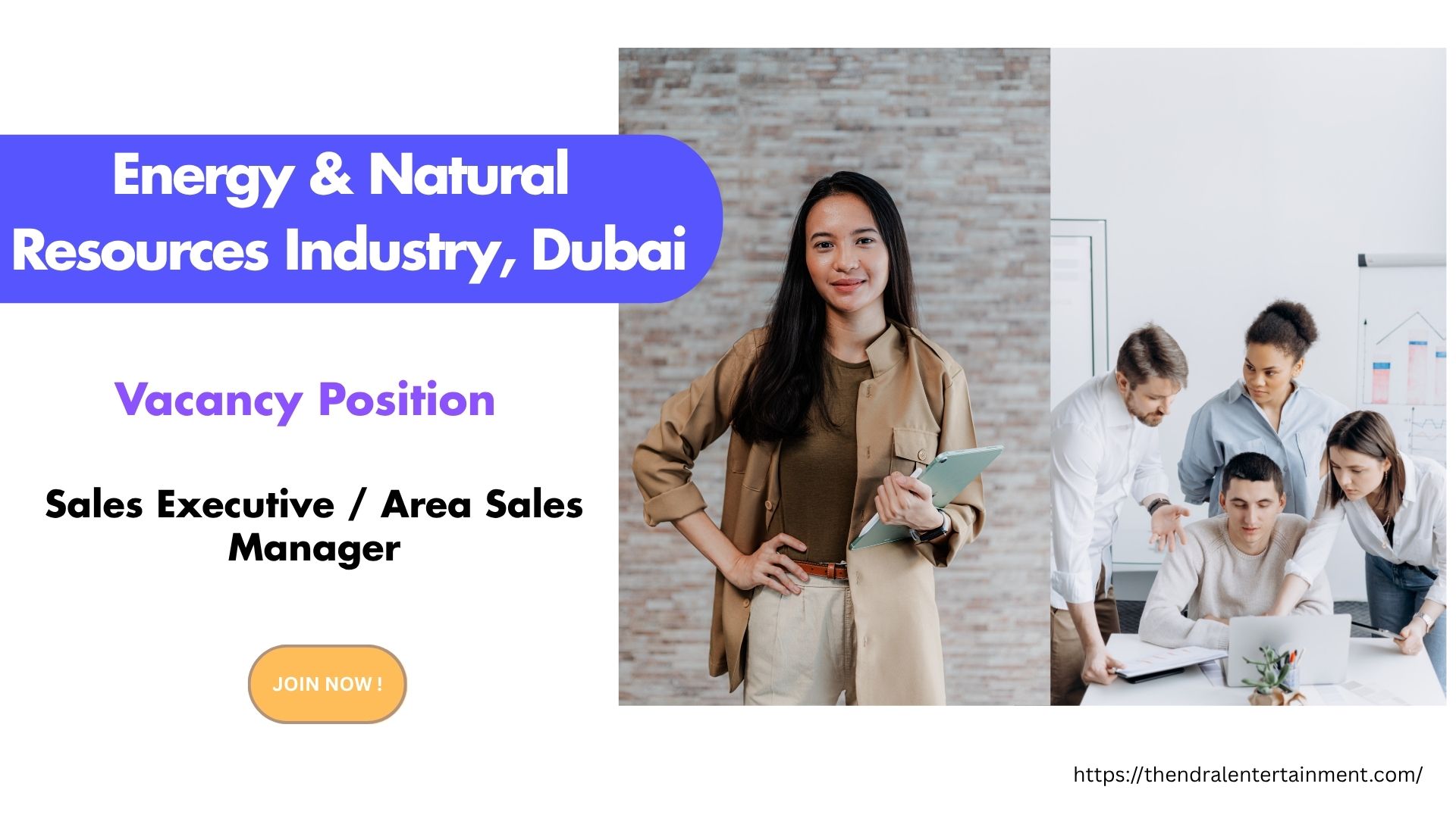 Energy & Natural Resources Industry – Sales Executive / Area Sales Manager Dubai