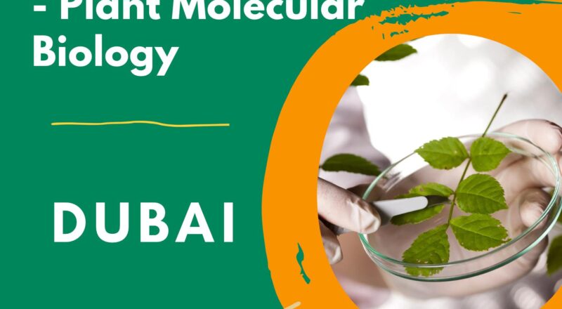 Scientist Plant Molecular Biology Dubai – High Growth Research Careers at ICBA | Apply Before 16 Sep