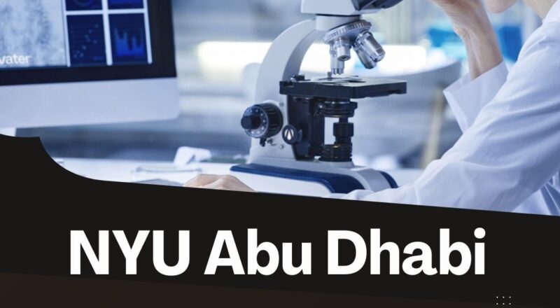 ✨ NYU Abu Dhabi | Associate Research Scientist Vacancy in Abu Dhabi 2025